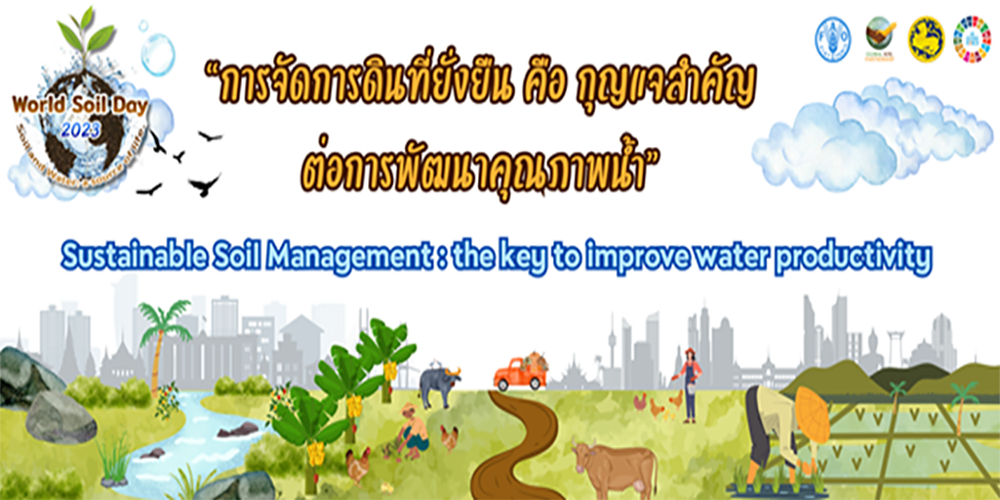 slide_file_15.webp